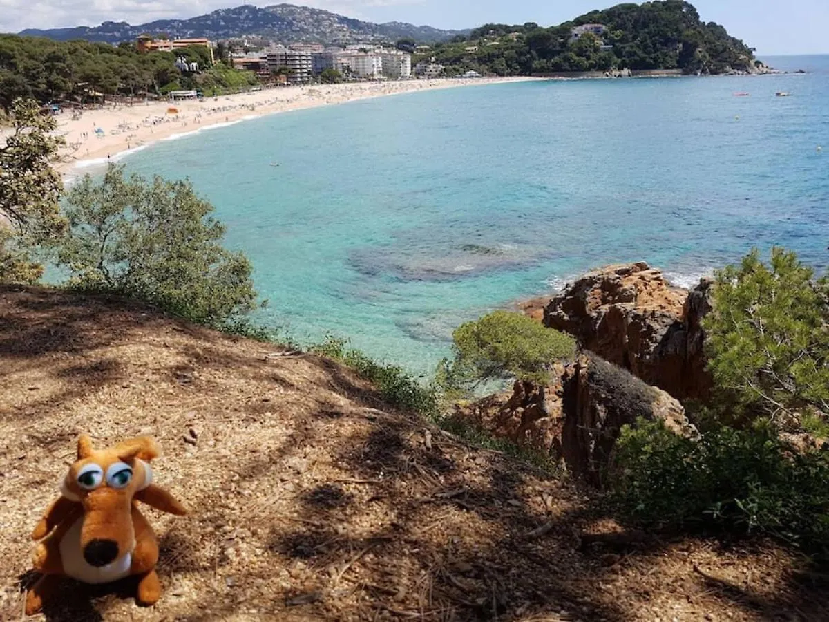 Apartment Residential Flat Lloret De Mar